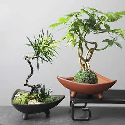 Ceramic Micro Landscape Planter